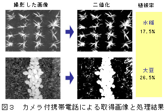 図3 カメラ付携帯電話による取得画像と処理結果