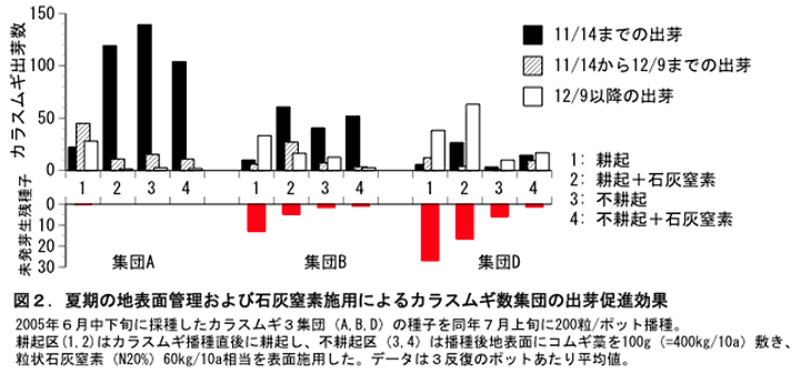 図2.夏期の地表面管理および石灰窒素施用によるカラスムギ数集団の出芽促進効果
