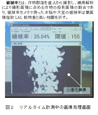 図2 リアルタイム計測中の画像処理画面
