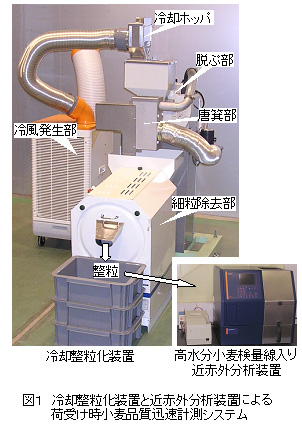 図1 冷却整粒化装置と近赤外分析装置による荷受け時小麦品質迅速計測システム