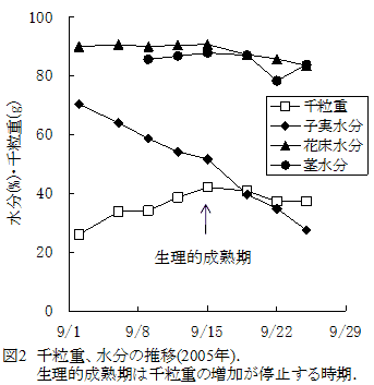 図2 千粒重、水分の推移(2005年).