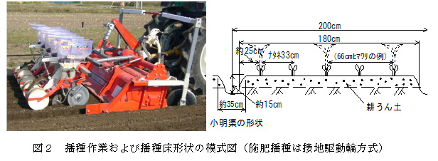 図2 播種作業および播種床形状の模式図(施肥播種は接地駆動輪方式)
