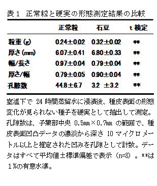 表1 正常粒と硬実の形態測定結果の比較