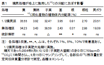 表1 摘莢処理が地上に施用した13Cの分配に及ぼす影響