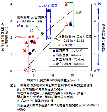 図2 黄葉期頃の根乾物重と真空吸引下の茎基部出液速度および成熟期の青立ち程度の関係.