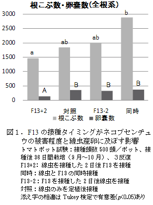 図1.F13の接種タイミングがネコブセンチュウの被害程度と線虫産卵に及ぼす影響