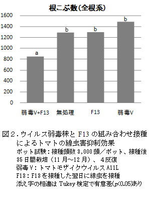 図2.ウイルス弱毒株とF13の組み合わせ接種によるトマトの線虫害抑制効果