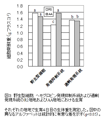 図3 野生型細胞、ヘモグロビン発現抑制系統および過剰発現系統のR2培地およびAA培地における生育