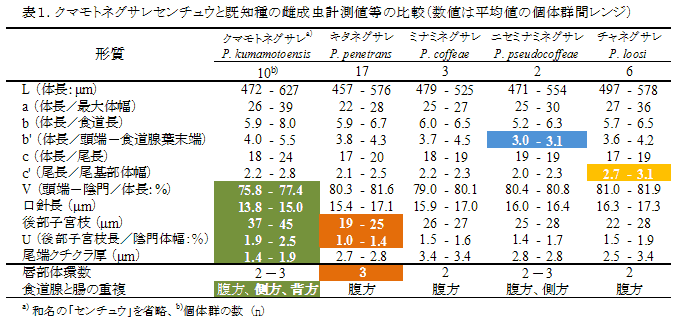 表1.クマモトネグサレセンチュウと既知種の雌成虫計測値等の比較(数値は平均値の個体群間レンジ)