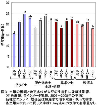 図3 土壌の種類と地下水位が大豆の生産性に及ぼす影響.(中央農研、ライシメータ実験、2006～2008年の平均)品種はエンレイ.放任区は無灌水で地下水位-10cmで排水.各土壌内において同じ文字はTukey法の5%水準で有意差なし.