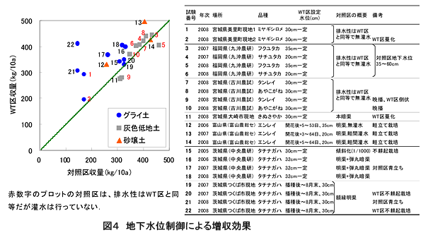 図4 地下水位制御による増収効果