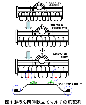 図1 耕うん同時畝立てマルチの爪配列