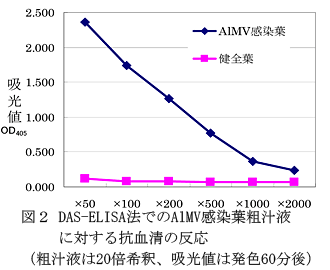 図2 DAS-ELISA法でのAlMV感染葉粗汁液に対する抗血清の反応 (粗汁液は20倍希釈、吸光値は発色60分後)