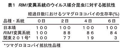 表1 RIM1変異系統のウイルス媒介昆虫に対する抵抗性