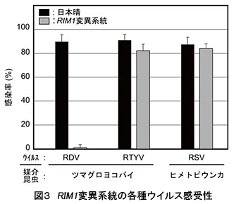 図3 RIM1変異系統の各種ウイルス感受性