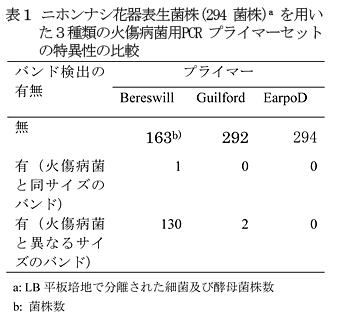 表1 ニホンナシ花器表生菌株(294菌株)aを用いた3種類の火傷病菌用PCRプライマーセットの特異性の比較