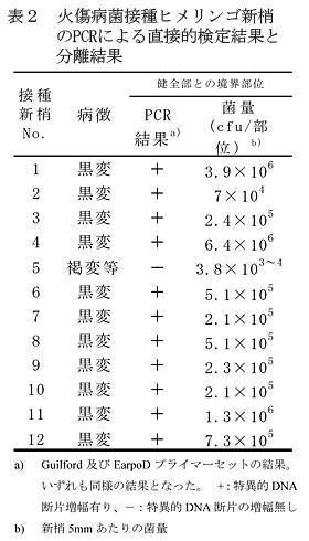 表2 火傷病菌接種ヒメリンゴ新梢のPCRによる直接的検定結果と分離結果