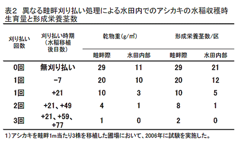 表2 異なる畦畔刈り払い処理による水田内でのアシカキの水稲収穫時生育量と形成栄養茎数