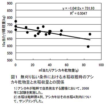 図1 無刈り払い条件における水稲収穫時のアシカキ乾物重と水稲収量との関係