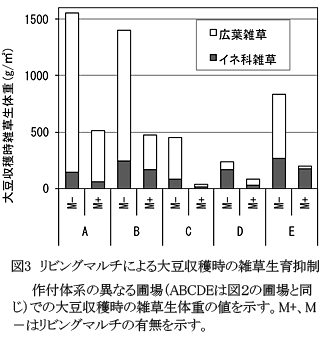 図3 リビングマルチによる大豆収穫時の雑草生育抑制作付体系の異なる圃場(ABCDEは図2の圃場と同じ)での大豆収穫時の雑草生体重の値を示す。M+、M-はリビングマルチの有無を示す。