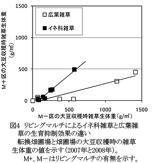 図4 リビングマルチによるイネ科雑草と広葉雑草の生育抑制効果の違い転換畑圃場と畑圃場の大豆収穫時の雑草生体重の値を示す(2007年と2008年)。 M+、M-はリビングマルチの有無を示す。