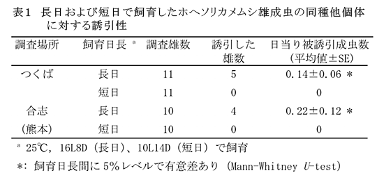 表1 長日および短日で飼育したホヘソリカメムシ雄成虫の同種他個体に対する誘引性