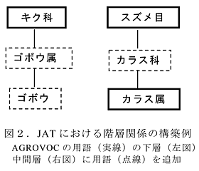 図2 JAT における階層関係の構築例 AGROVOC の用語(実線)の下層(左図)中間層(右図)に用語(点線)を追加