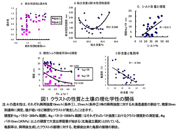 図1 クラストの性質と土壌の理化学性の関係