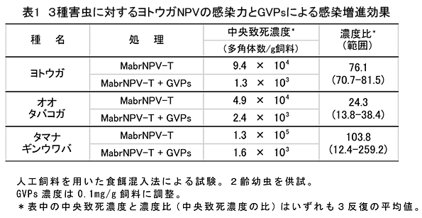 表1 3種害虫に対するヨトウガNPVの感染力とGVPsによる感染増進効果