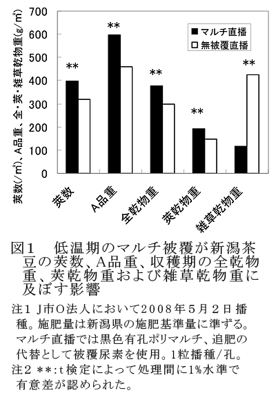 図1 低温期のマルチ被覆が新潟茶豆の莢数、A品重、収穫期の全乾物重、莢乾物重および雑草乾物重に及ぼす影響