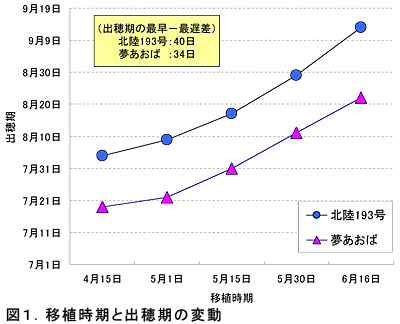 図1 移植時期と出穂期の変動