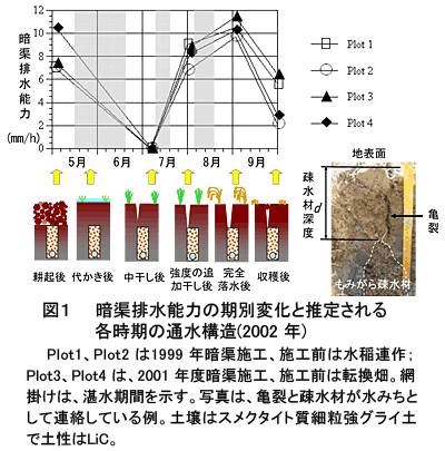 図1 暗渠排水能力の期別変化と推定される各時期の通水構造(2002 年)