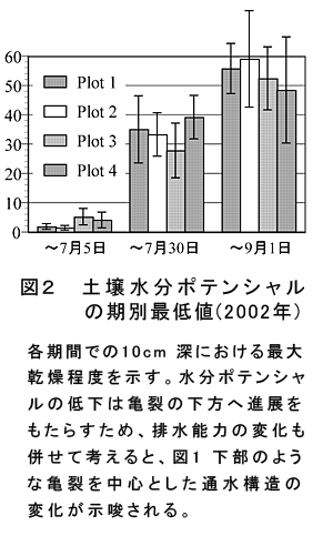 図2 土壌水分ポテンシャルの期別最低値(2002年)