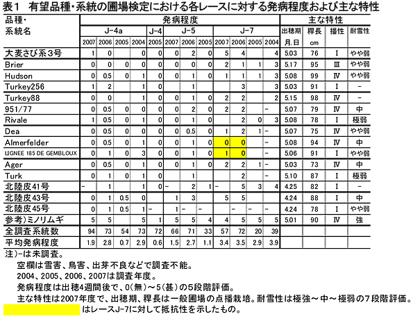 表1 有望品種・系統の圃場検定における各レースに対する発病程度および主な特性