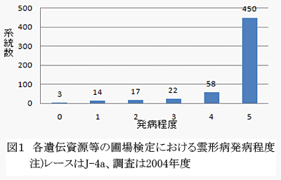 図1 各遺伝資源等の圃場検定における雲形病発病程度 注)レースはJ-4a、調査は2004年