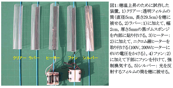 図1 穂温上昇のために試作した装置。1)クリアー:透明フィルムの筒(直径5cm,長さ29.5cm)を穂に被せる。2)ラバー:1)に加えて、幅2cm,厚さ5mmの黒ゴムスポンジを内部に貼り付ける。3)ヒーター: 2)に加えて、ニクロム線ヒーターを取り付ける(100V, 200Wヒーターに6Vの電圧をかける)。4)ファン:2)に加えて下部にファンを付けて、強制換気する。5)シルバー: 光を反射するフィルムの筒を穂に被せる。
