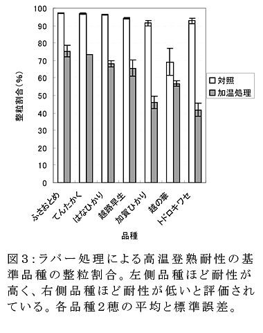 図3 ラバー処理による高温登熟耐性の基準品種の整粒割合。左側品種ほど耐性が高く、右側品種ほど耐性が低いと評価されている。各品種2穂の平均と標準誤差。