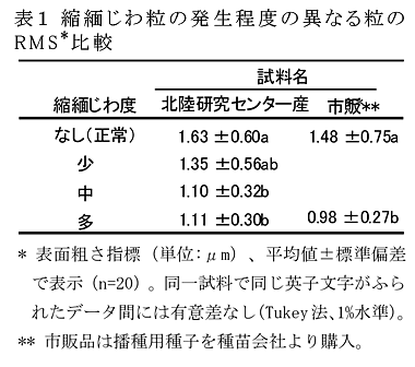 表1 縮緬じわ粒の発生程度の異なる粒のRMS*比較