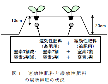 速効性肥料と緩効性肥料の局所施肥の状況