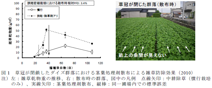 草冠が閉鎖したダイズ群落における茎葉処理剤散布による雑草防除効果(2010)