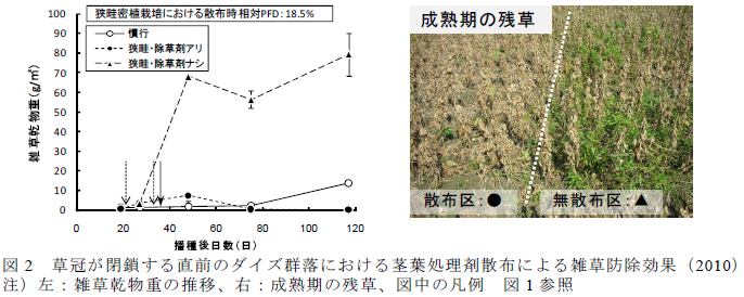 草冠が閉鎖する直前のダイズ群落における茎葉処理剤散布による雑草防除効果(2010)