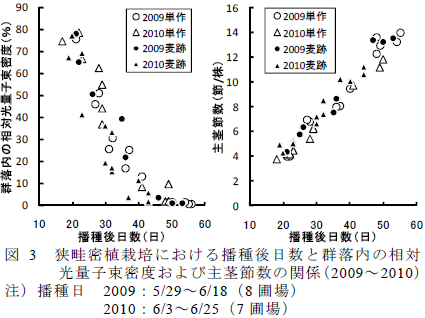 狭畦密植栽培における播種後日数と群落内の相対光量子束密度および主茎節数の関係(2009~2010)