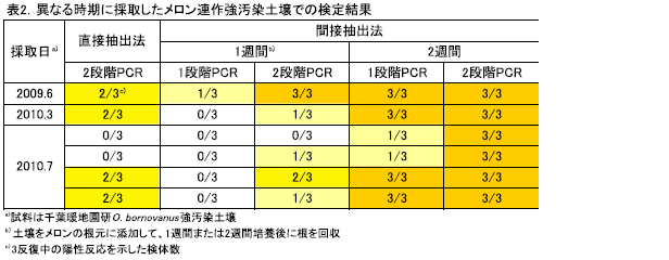 異なる時期に採取したメロン連作強汚染土壌での検定結果