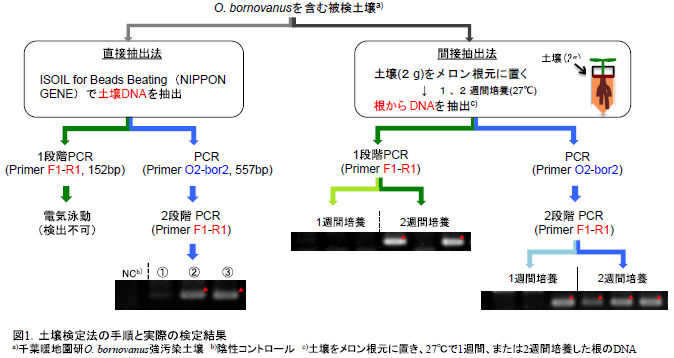 土壌検定法の手順と実際の検定結果