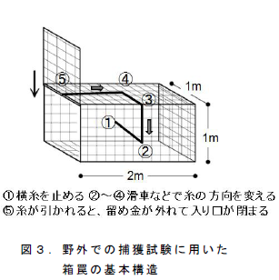 野外での捕獲試験に用いた箱罠の基本構造