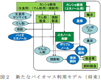 新たなバイオマス利用モデル( 将来)
