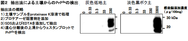 抽出法による土壌からのPrPScの検出