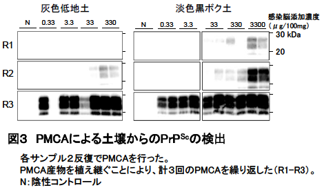 PMCAによる土壌からのPrPScの検出