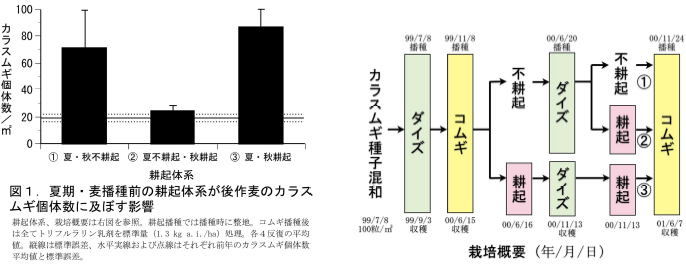 夏期・麦播種前の耕起体系が後作麦のカラスムギ個体数に及ぼす影響