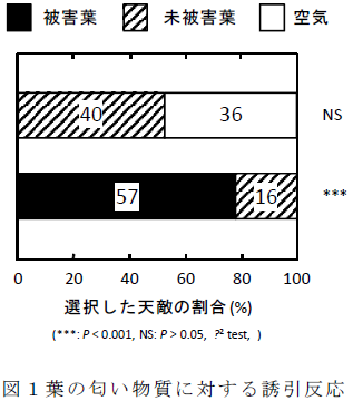 葉の匂い物質に対する誘引反応